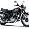 Kawasaki W800 2025